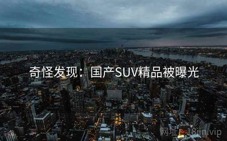 奇怪发现:国产SUV精品被曝光 奇怪发现:国产SUV精品被曝光